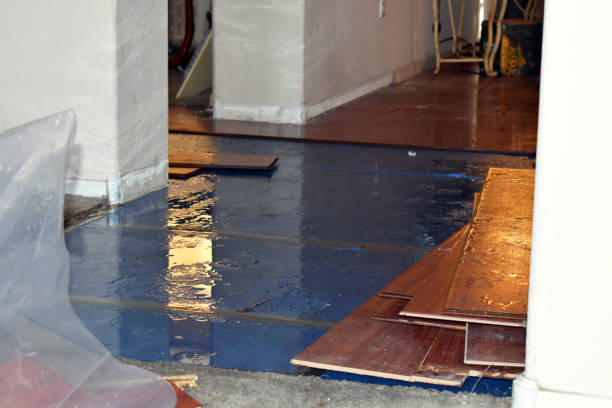 Professional Basement Flood Cleanup technician working in Carthage, TX
